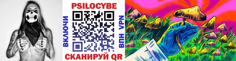 Псилоцибиновые грибы прущие грибы  Купить  Выборг 