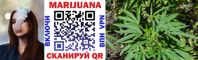 Марихуана конопля  Купить где  Выборг 
